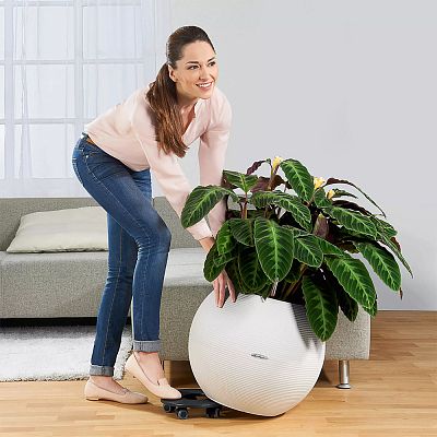 LECHUZA PURO Color Round Poly Resin Self-watering Planter