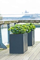 Raised Fiberstone Trough Planter by Idealist Premium JORT
