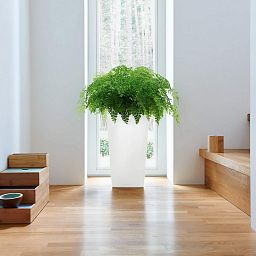 LECHUZA CUBICO Tall Poly Resin Planter Only
