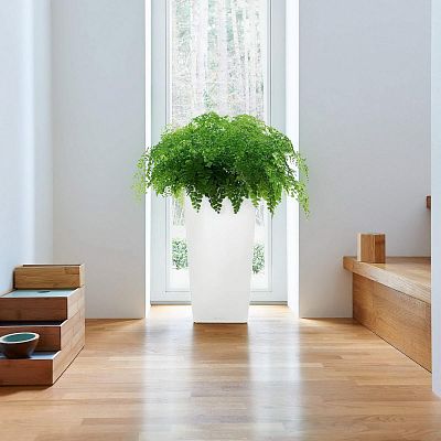 LECHUZA CUBICO Tall Poly Resin Planter Only