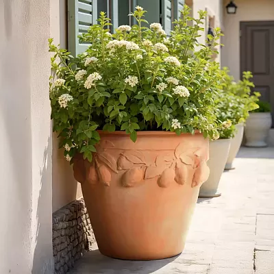 Citrus Fiberglass Round Tall Terracotta Planter Pot In/Out