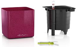 LECHUZA CUBE Glossy Kiss Square Poly Resin Indoor Self-watering Planter