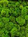 Ballmoss Artificial Moss Plant