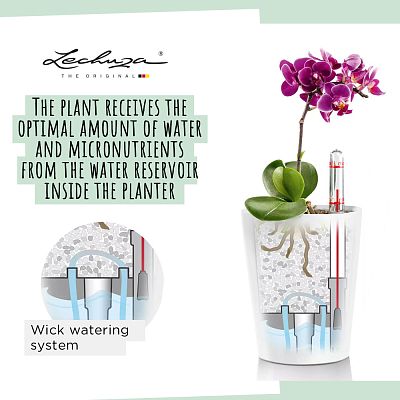 LECHUZA DELTINI|MINI-DELTINI Round Poly Resin Indoor Self-watering Planter