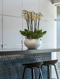 Fibrestone Cora Round Planter by Idealist Premium