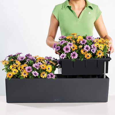 LECHUZA BALCONERA Color Trough Poly Resin Self-watering Planter
