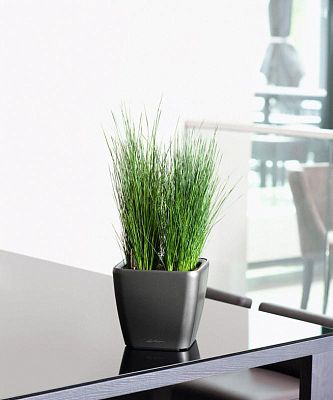 LECHUZA Quadro LS Square Poly Resin Self-watering Planter