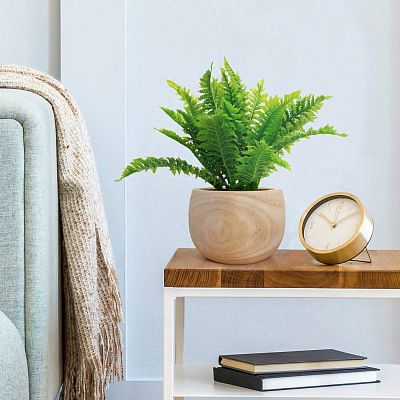 HORTICO ECO Wooden House Planter Round Indoor Plant Pot for House Plants with Waterproof Liner