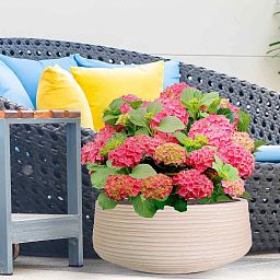 IDEALIST Lite Large Ribbed Light Concrete Bowl Planter