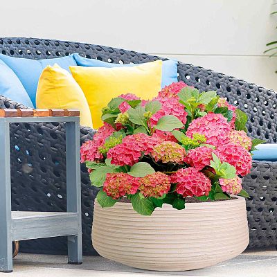 IDEALIST Lite Large Ribbed Light Concrete Bowl Planter