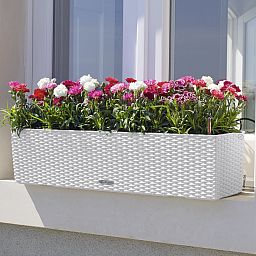 LECHUZA BALCONERA Cottage Trough Poly Resin Self-watering Planter