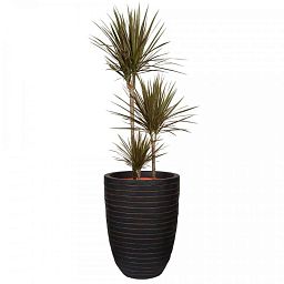 Round Resin Row Planter by Cadix Capi Tutch Vase Elegance Low