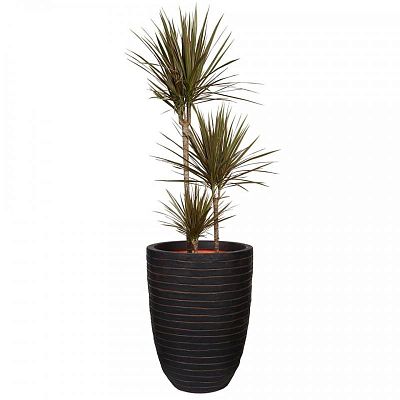 Round Resin Row Planter by Cadix Capi Tutch Vase Elegance Low