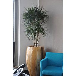 Banana Round Tall Polystone Indoor Planter