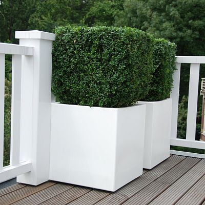 PURE Cube Outdoor Fiberglass Planter