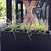 IDEALIST Lite Window Box Light Concrete Planter