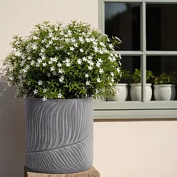 IDEALIST Lite Leaf Embossed Round Planter