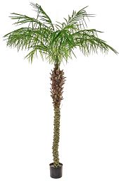 Palm Phoenix Flame Retardant Artificial Tree Plant
