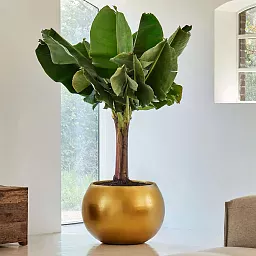 Metallic Couple Round Indoor Planter