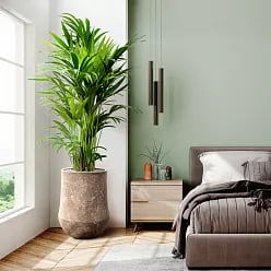 Polystone Planter | Tapered Indoor and Outdoor Plant Pot 