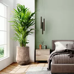 Polystone Planter | Tapered Indoor and Outdoor Plant Pot 