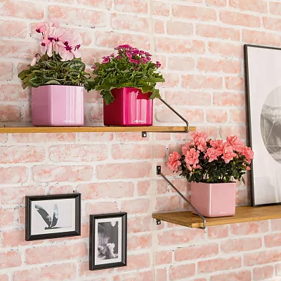 LECHUZA CUBE Glossy Kiss Square Poly Resin Indoor Self-watering Planter