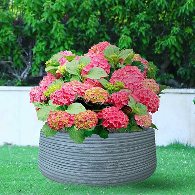 IDEALIST Lite Large Ribbed Light Concrete Bowl Planter