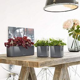 LECHUZA CUBE Glossy Triple Trough Poly Resin Self-watering Planter