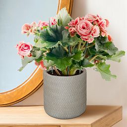 IDEALIST Lite Plaited Style Table and Hanging Cylinder Round Plant Pot Dual Use Indoor Planter
