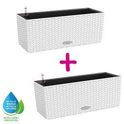 LECHUZA BALCONERA Cottage Trough Poly Resin Self-watering Planter Set