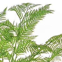 Palm Alsophila Artificial Tree Plant