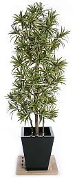 Dracaena Song of India Flame Retardant Artificial Tree Plant