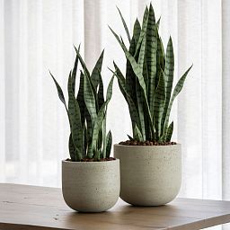 Cement & Stone Round Planter | Indoor and Outdoor Plant Pot