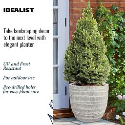 IDEALIST Lite Straw Plaited Style Egg Planter