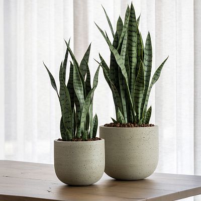 Cement & Stone Round Planter | Indoor and Outdoor Plant Pot