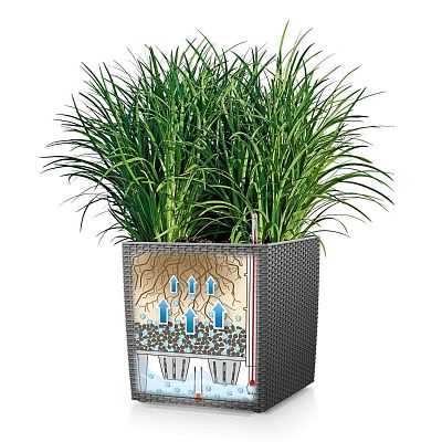 LECHUZA CUBE Cottage Square Poly Resin Self-watering Planter Set
