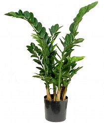 Zamio Zami Base Flame Retardant Artificial Tree Plant