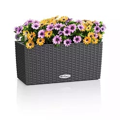 LECHUZA BALCONERA Cottage Trough Poly Resin Self-watering Planter