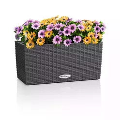 LECHUZA BALCONERA Cottage Trough Poly Resin Self-watering Planter