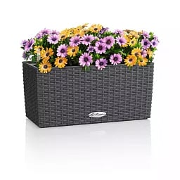 LECHUZA BALCONERA Cottage Trough Poly Resin Self-watering Planter
