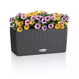 LECHUZA BALCONERA Cottage Trough Poly Resin Self-watering Planter