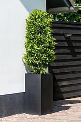 Tall Fiberstone Square Planter by Idealist Premium BOUVY