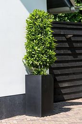 Tall Fiberstone Square Planter by Idealist Premium BOUVY