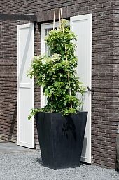 Tall Fiberstone Square Planter by Idealist Premium JUMBO