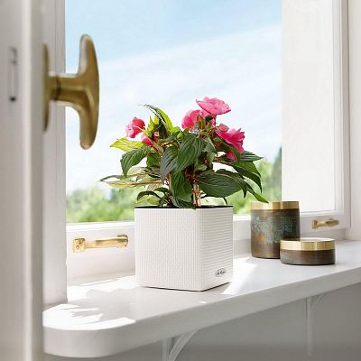 LECHUZA CUBE Color Square Poly Resin Indoor Self-watering Planter
