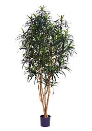 Dracaena Anita Artificial Tree Plant