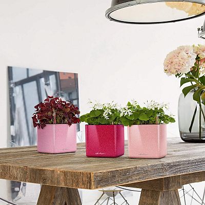 LECHUZA CUBE Glossy Kiss Square Poly Resin Indoor Self-watering Planter