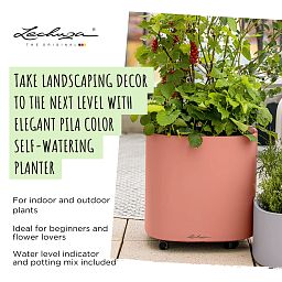 LECHUZA PILA Color Square Poly Resin Self-watering Planter