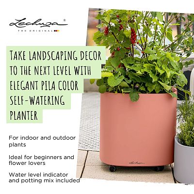 LECHUZA PILA Color Square Poly Resin Self-watering Planter