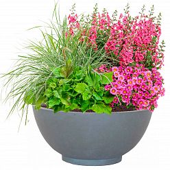 IDEALIST Lite Dish Style Smooth Bowl Outdoor Planter IDEALIST Lite Dish Style Smooth Bowl Outdoor Planter